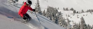 Más 1.500 establecimientos en 180 estaciones de esquí