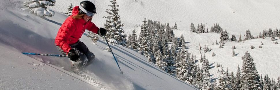 Más 1.500 establecimientos en 180 estaciones de esquí