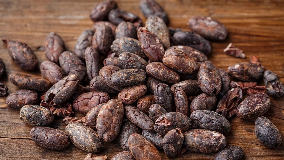 El cacao, un motor turístico, social y cultural en República Dominicana