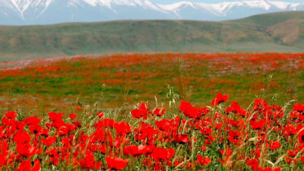 Cuando el Cañón del Colorado y los lagos alpinos parecen estar en el corazón de Asia Central