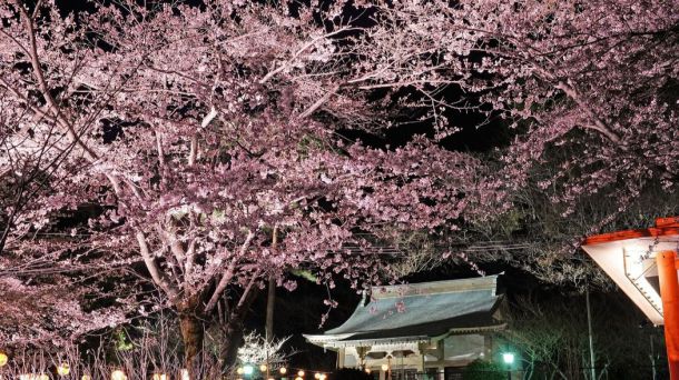 Planes para 2021: Contemplar la primavera de Nikko