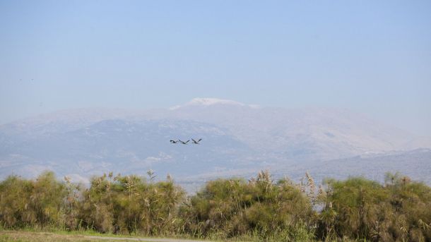 Reinventando el turismo: Zonas de Israel menos concurridas pero igual de interesantes