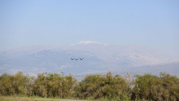 Reinventando el turismo: Zonas de Israel menos concurridas pero igual de interesantes