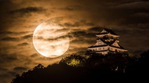 Contemplar la luna de otoño en Japón