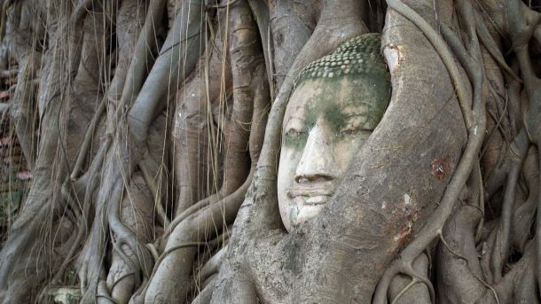 Parque Histórico de Ayutthaya