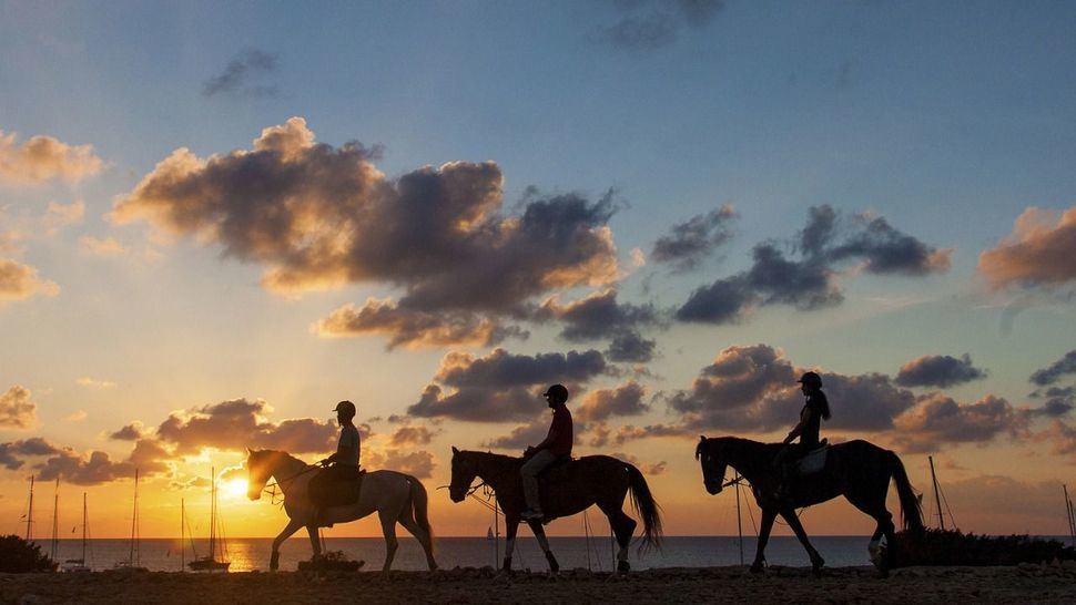 Formentera a caballo, escapada sana y natural