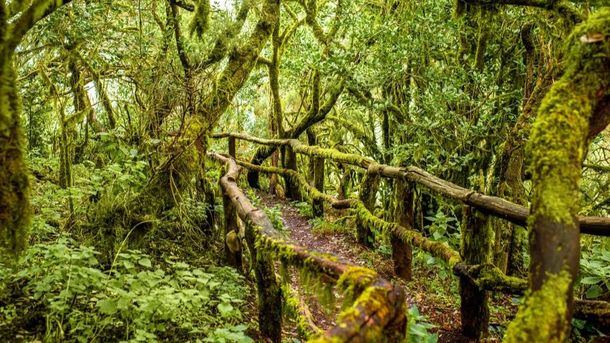 Canarias: Patrimonio de la Humanidad