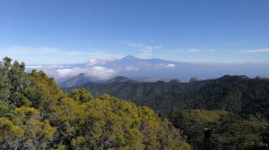 Parque Nacional de Garajonay (La Gomera)