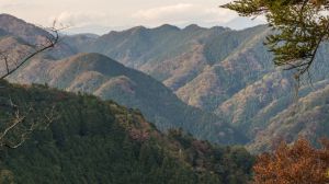 Tokio también es naturaleza