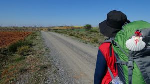 Camino de Santiago: Correos reactiva el transporte de mochilas en las principales rutas