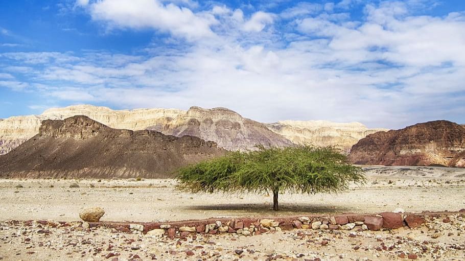 Desierto del Negev en Israel