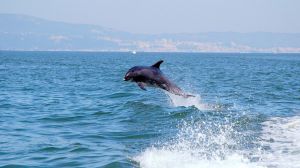 Lisboa: Un viaje de desconexión en la naturaleza