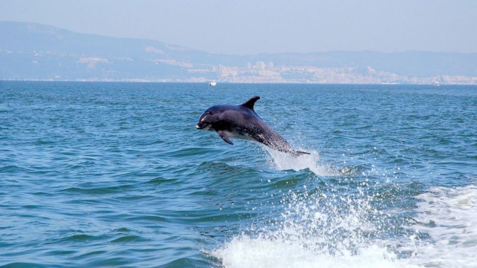 Lisboa: Un viaje de desconexión en la naturaleza