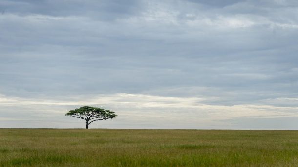 Desafíos y soluciones para la conservación del patrimonio africano en tiempos de desarrollo