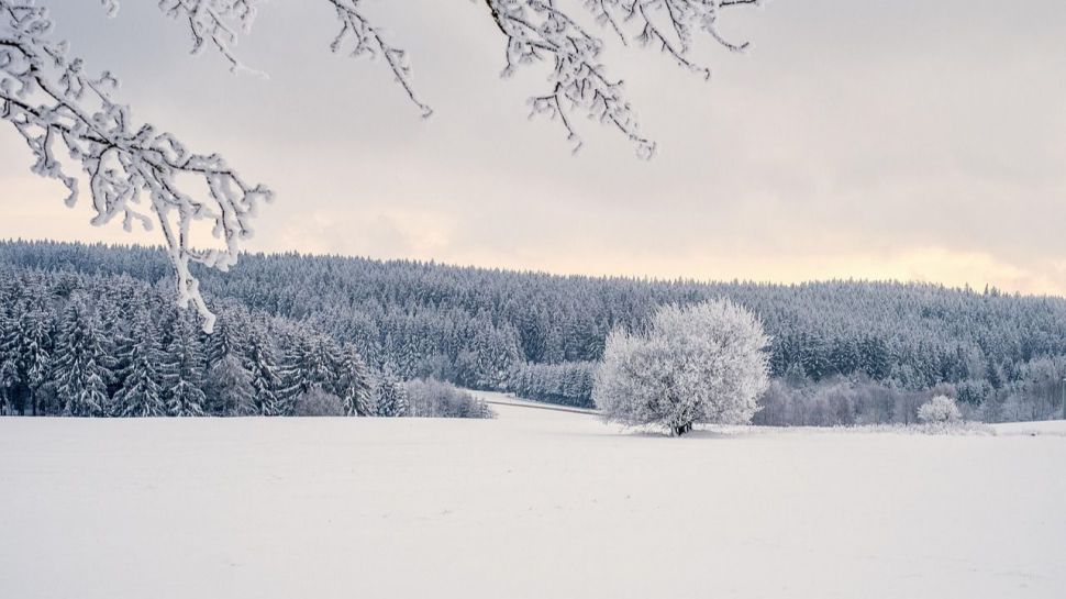 Aena activa su Plan Invierno en 21 aeropuertos para enfrentar hielo y nieve