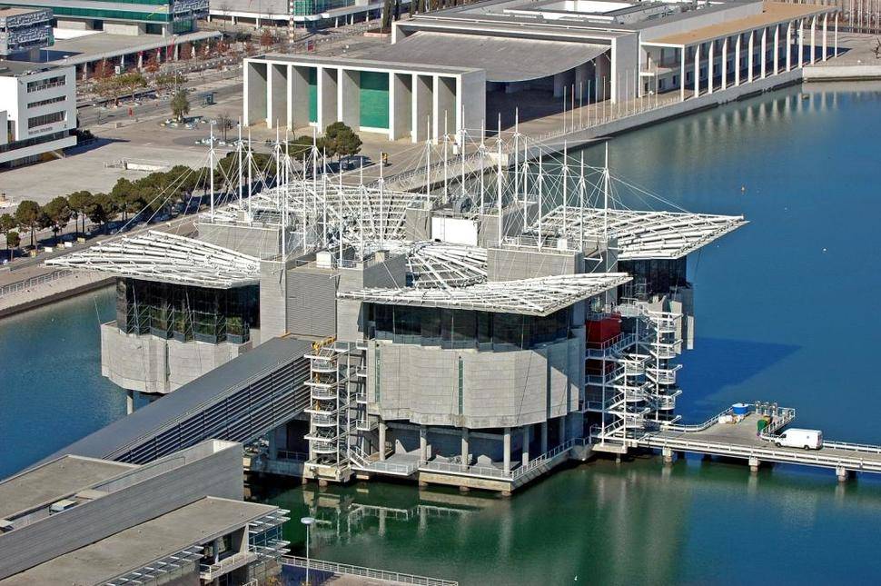 El Oceanario de Lisboa, el mejor acuario del mundo