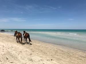 Djerba, un enclave idílico entre el Mediterráneo y el Sahara