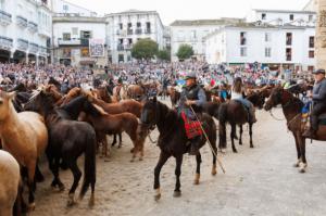 Bajada de los caballos en Mondoñedo, un espectáculo único