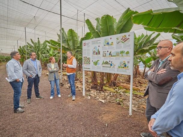 Alianzas entre hoteleros y agricultores impulsan la economía circular en Canarias