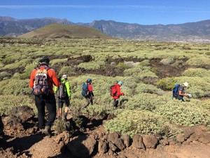 Reservas hoteleras en Tenerife alcanzan el 78% para Semana Santa