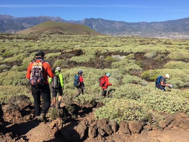 Reservas hoteleras en Tenerife alcanzan el 78% para Semana Santa