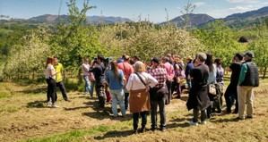 Actividades y festivales para disfrutar el puente de mayo en Asturias